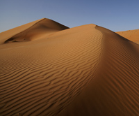 Dubai Sand Dunes